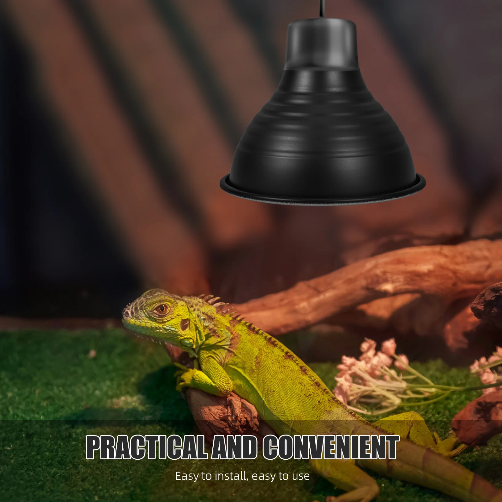 Reptile Heat Lamp Protector 4