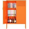 Orange 3 Tier Metal Storage Cabinet with Legs, 2 Door Metal Locker for Home, Office, Entryway and Hallway 2