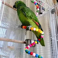 Parrot Bites Toy Wood Beads Bird Swing Fuuny Wear-resistant Spiral Ladder for Home 1