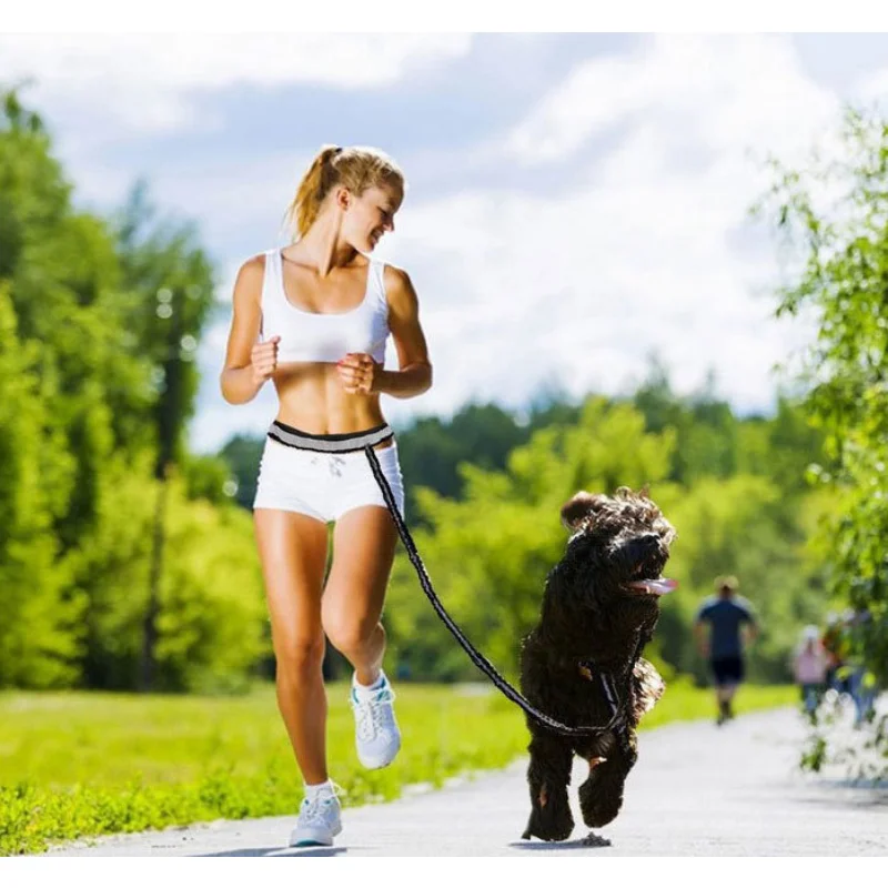 

Hands Free Dog Leash Pet Running Walking Training Leash Waist Belt with Zipper Pouch Dog Leash for Small Medium and Large Dogs