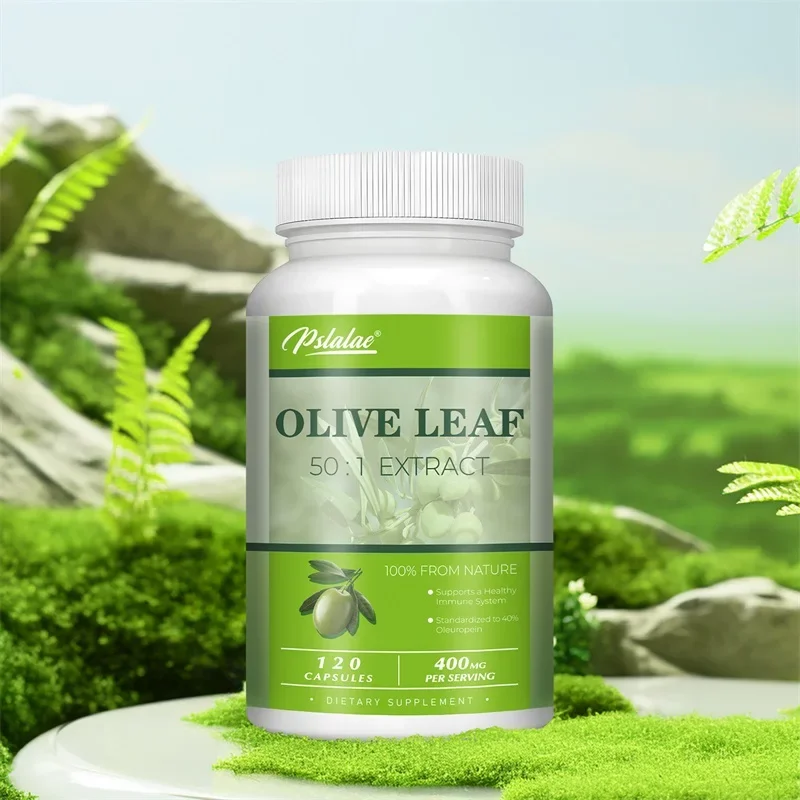 Olive Leaf Extracts Capsules 40% Oleuropein Supports Cardiovascular Health Immune Health Antioxidant