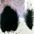 Black 50pcs