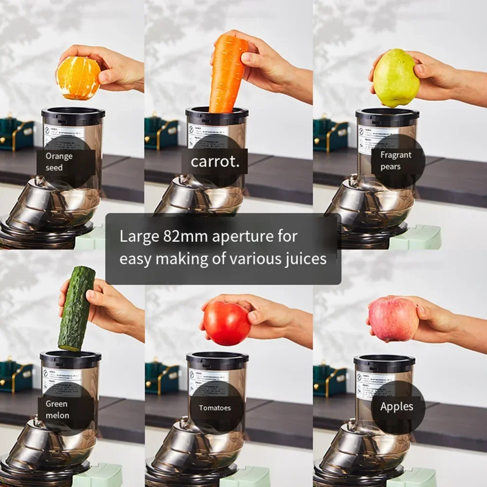 Juicer Machine, Slow Masticating Juicer with Large Feed