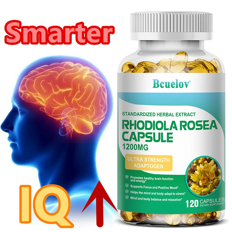 Rhodiola Rosea Root Extract 1200 mg Supports brain health Energy and endurance Mood support Stress
