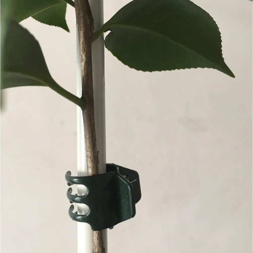 20-50Pcs Large Size Garden Plant Clips for Orchid Flower Support Fruit Vegetable Stem Vine Tied Stakes Grafting Garden Tools plant clips plastic plant clips