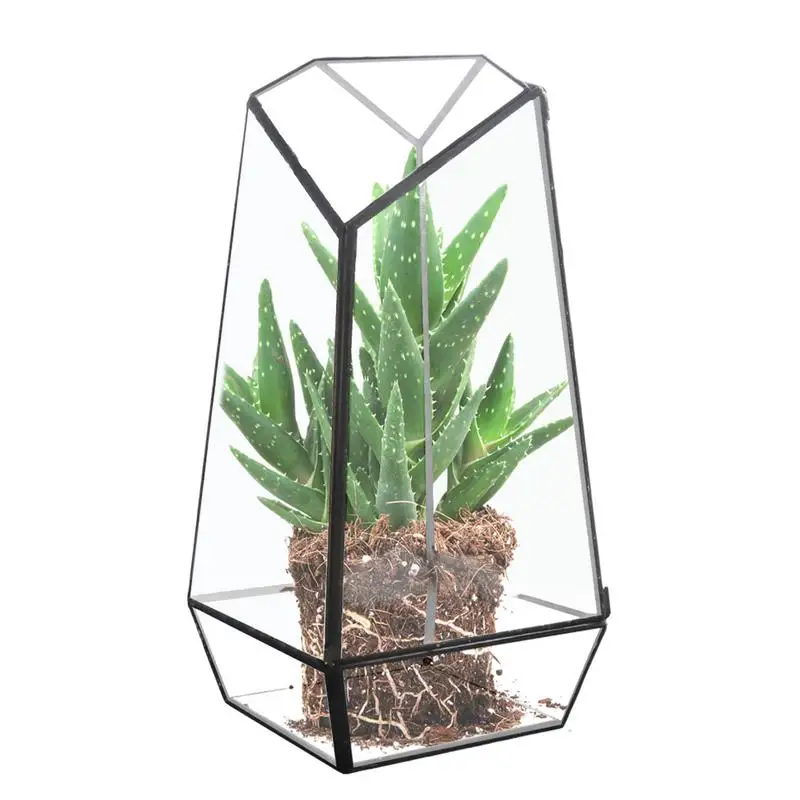 

Succulent Terrarium Modern Handmade Glass Planter Pot With Door 25cm Handmade Glass Planter Pot Small Geometric Terrarium