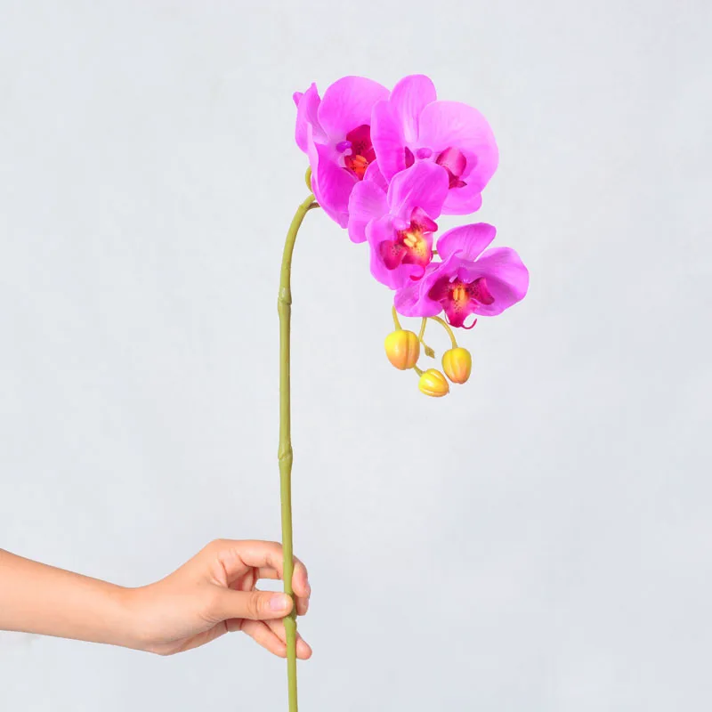 Slide image undefined