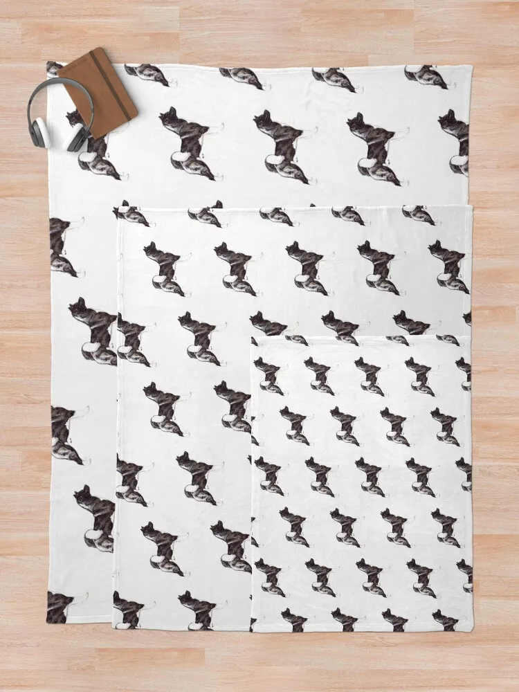 �̱� ��ŰŸ �� ǰ�� �� ���� ���ĵ� ���, �̱� ���