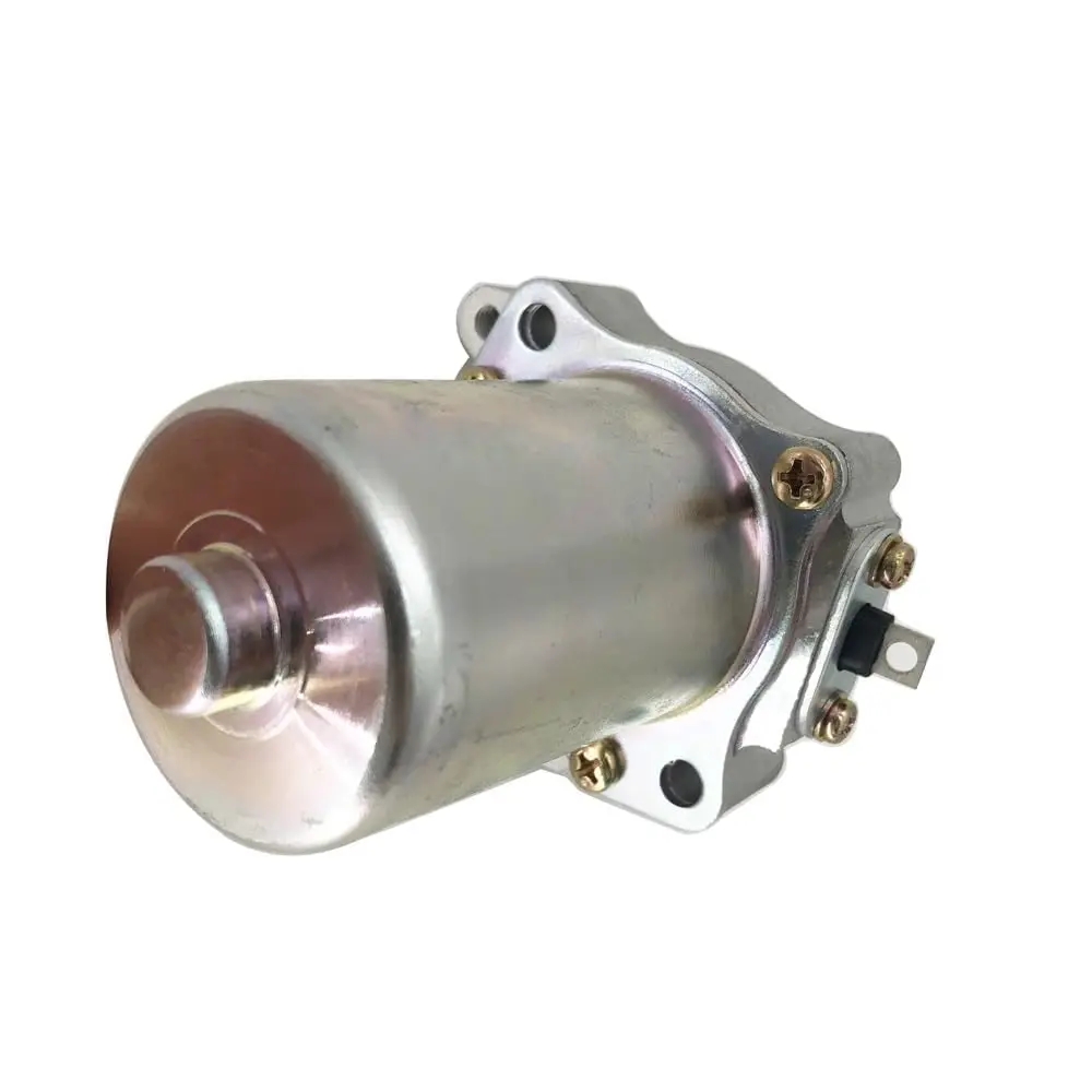 Motorcycle Starter for Racing for ROTAX MAX FR125 125cc GO Kart Racing Heavy Duty for APRILIA: AP0294800 AP0294802 starter motor set engine pull starter