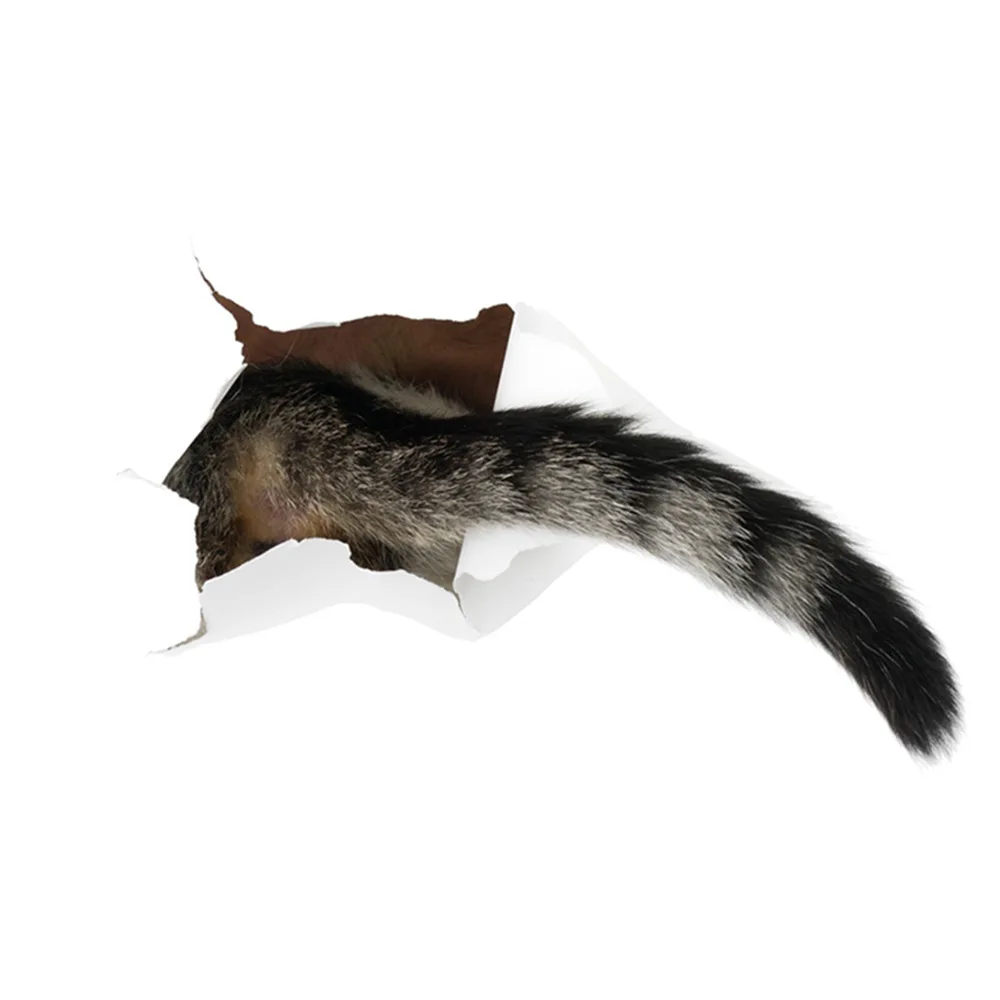 C9# Cat Tail Toilet Sticker Bathroom Toilet Cover Sticker Wall Stickers Wc Accessories Fun For Home Decoration