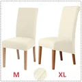 S2-Ivory