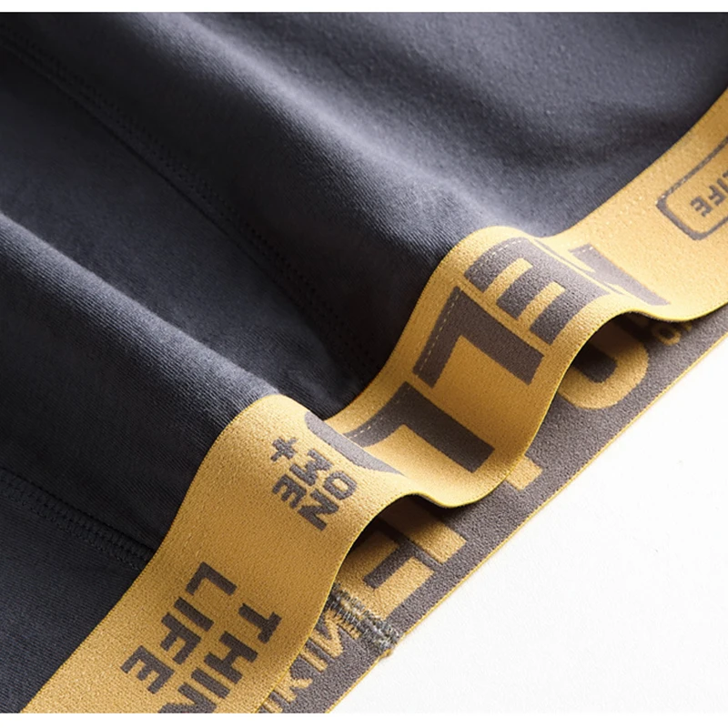 10Pcs/lot Men's Briefs Boxers Underwear Men Solid Panties Sexy Boxershorts Fashion Upderpants Fungi-Proofing Panties Plus Size