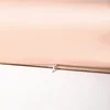 3A Grade Natural Mulberry Silk Latex Pillowcase Superior Quality Protect Hair Pillow Case Solid Color Bedding Pillowcover 5