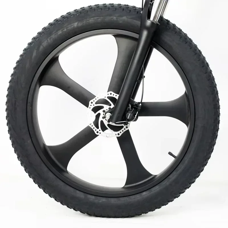 Electric Bicycle 1000W 48V 13Ah Removable Battery 26*4inch Fat Tire E-bike Mountain Off-Road