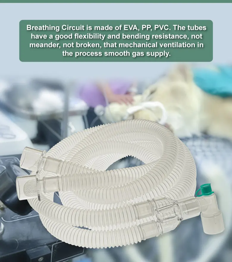 Tierarzt PVC Veterinär anästhesie Atem kreislauf Wellrohr Anästhesie Beatmung gerät Einweg-Veterinär geräte – Detail 3