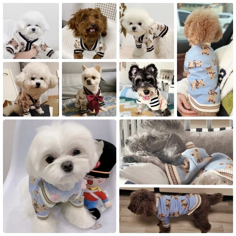 소형견 중형견용 애완견 스웨터, 곰 프린트 강아지 옷, 애완견 스트라이프 강아지 가디건, 겨울용 따뜻한 고양이 스웨터, 강아지 코트 옷