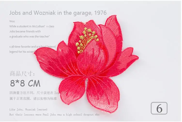 model 6