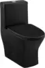 Sublime II One-Piece Round Toilet Dual-Flush 1.1/1.6 gpf in Matte Black Dual Flush Fully Glazed And Skirted Trapway 1