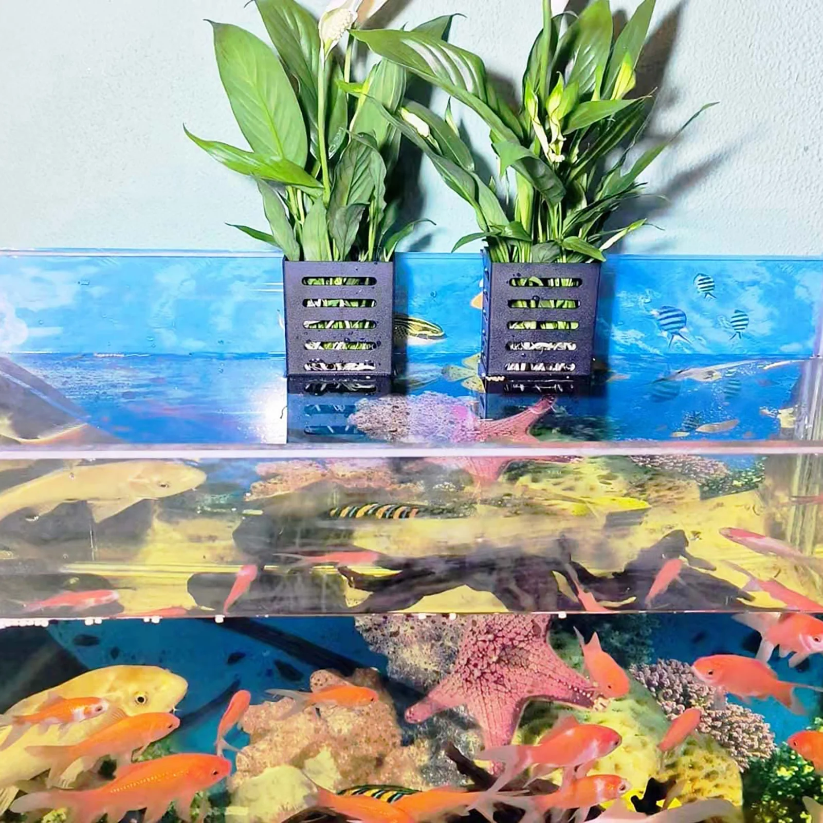 Durable Hanging Bracket for Aquatic Plant Display in Fish Tanks