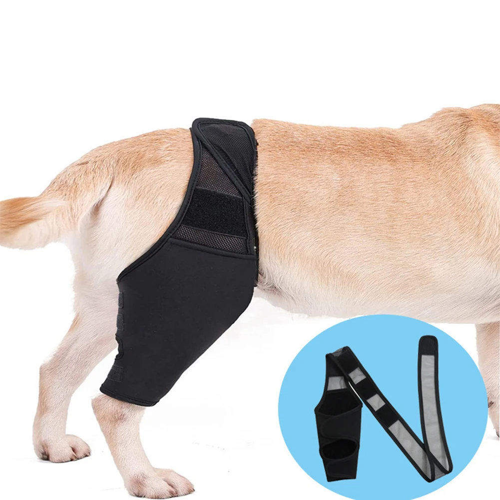 

Adjustable Dog Leg Brace Dog Legs Protector Multifunctional Leg Support Brace Faster Recovery For Large Small Dog Pet Supplies