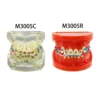 Dental Orthodontic Typodont Teeth Model With Self-Ligating Metal Ceramic Bracket Lingual Hawley Retainer Ligature Standard Demo 4