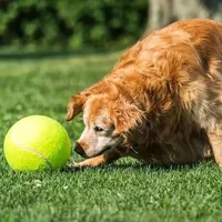 7/9.5Inch Giant Tennis Ball Pet Inflatable Toy for Dog Training Ball 24cm Large Tennis Ball with Air Pump Interactive Dog Toys 2