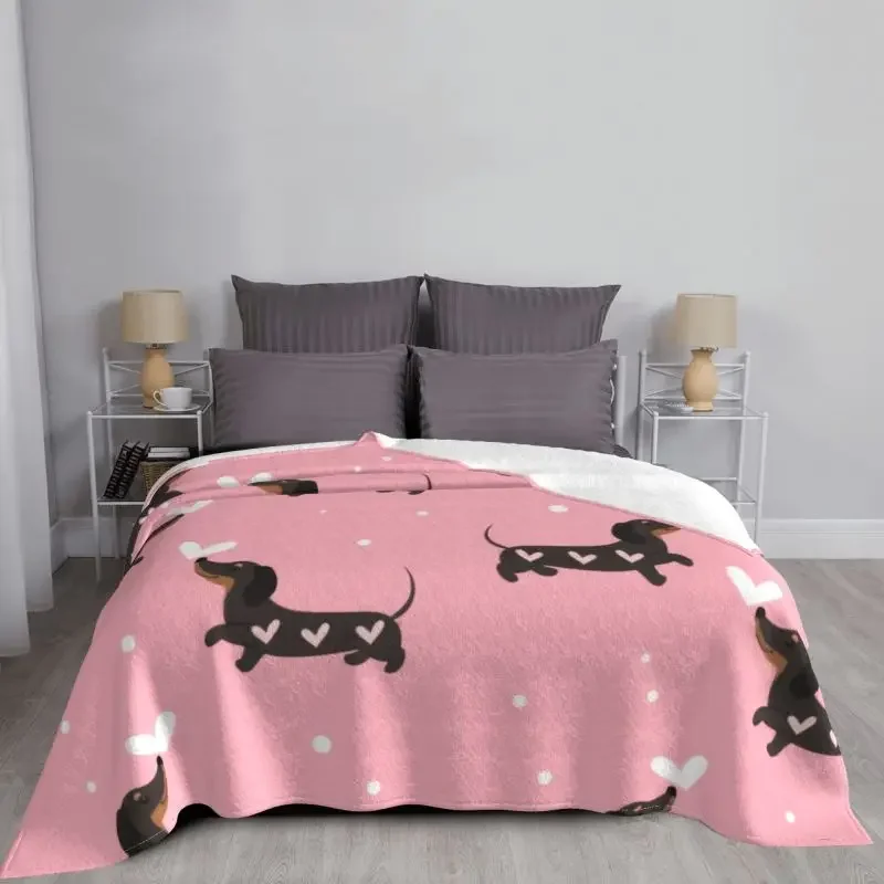 �ҽ��� �� ��� 3D �μ� �ε巯�� �ö��� ���� ������ �ڽ���Ʈ ������ ���, �ڵ��� ħ�� ���� ħ�뺸��