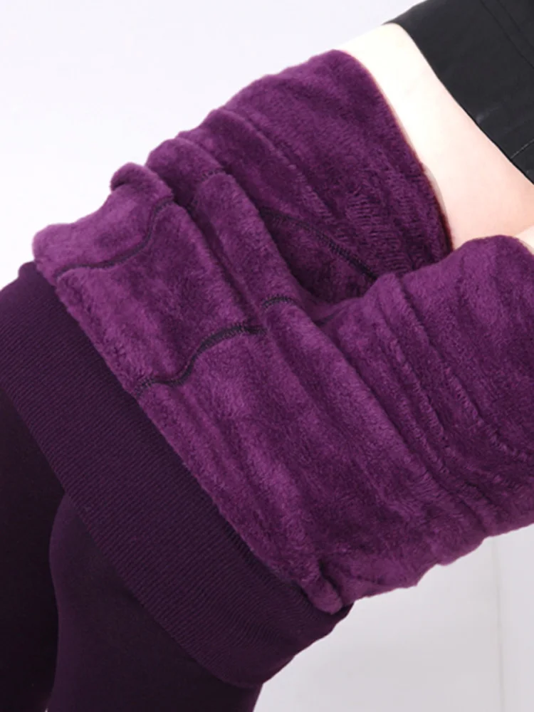 Warm Purple