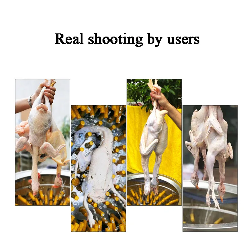 Chicken Birds Depilator Doves Quail Hair Removal  Feather Plucking Machine Farm Poultry Plucker 6