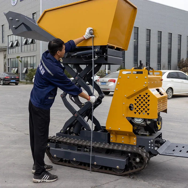 Mini Dumper Di Sollevamento A Benzina Cingolato Idraulico Di Fabbrica 6.5Hp 13.5Hp Skip Loader Epa/Euro 5