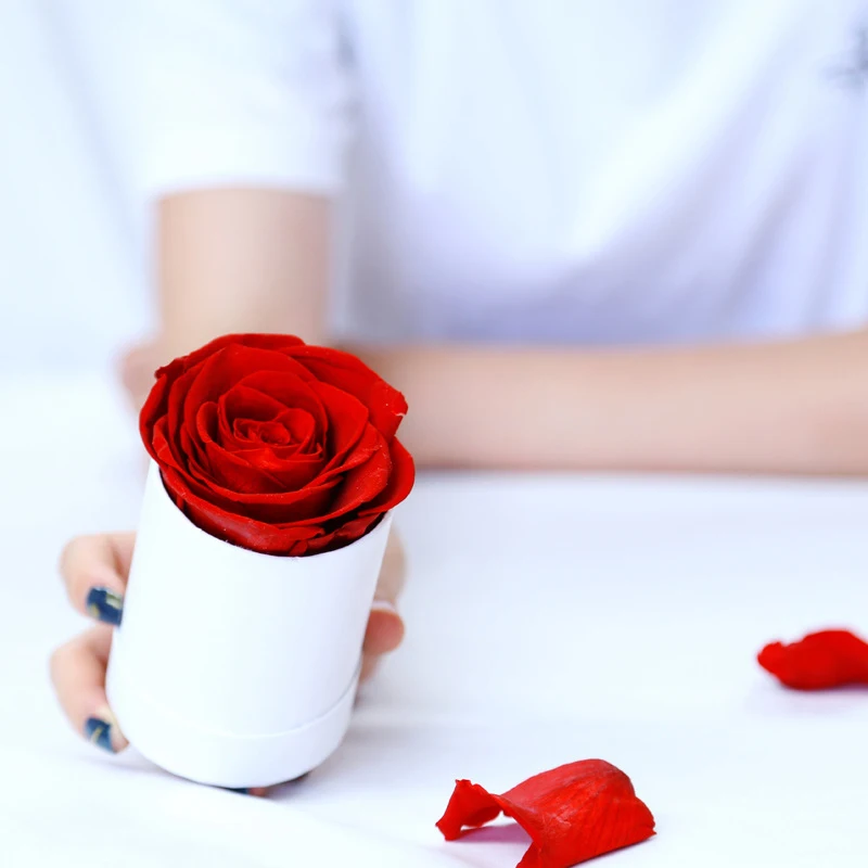 Flower Bucket Round Hug Bucket Gift Box Bouquet Packaging Cylindrical Flower Box DIY Wedding Valentines Day Gift 6.5*7.5CM