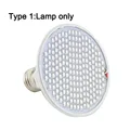 Lamp only