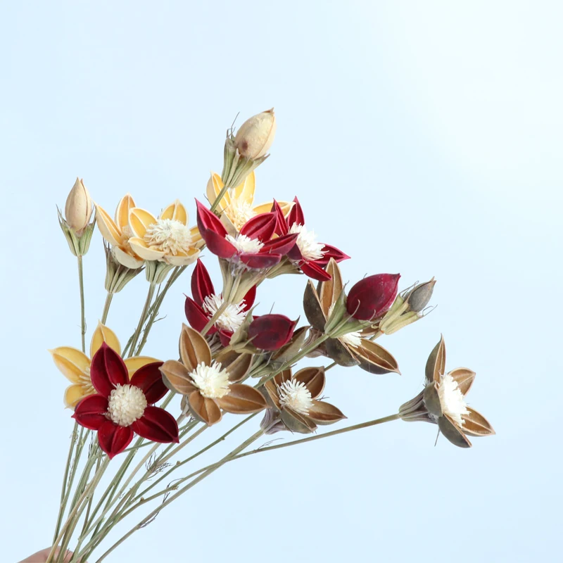 

6PCS Art Diy Flower Red Noble Nobleman Combination Real Natural Handmade Nutshell Flower Bouquet Head Home Decoration