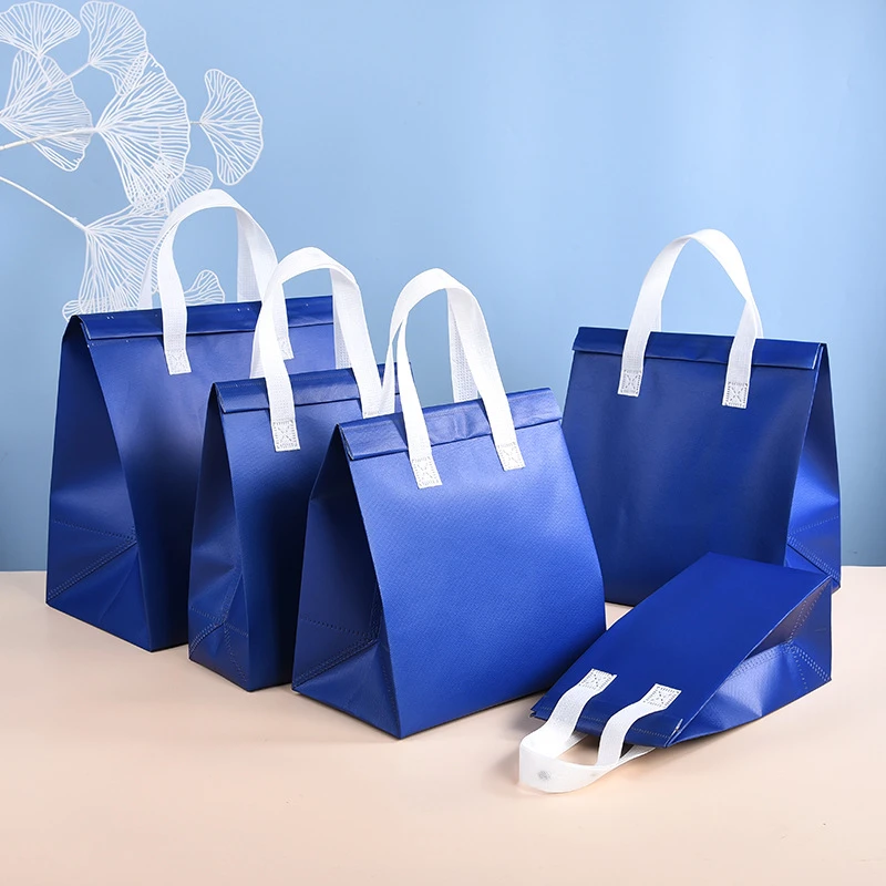 10pcs Non-Woven Insulated Tote Bags – Reusable Thermal Cooler Pouches for Food, Cake, D... - SKU NITB2302 - UGI Packaging