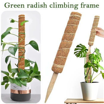 Coconut Coir Plant Support Pole 1