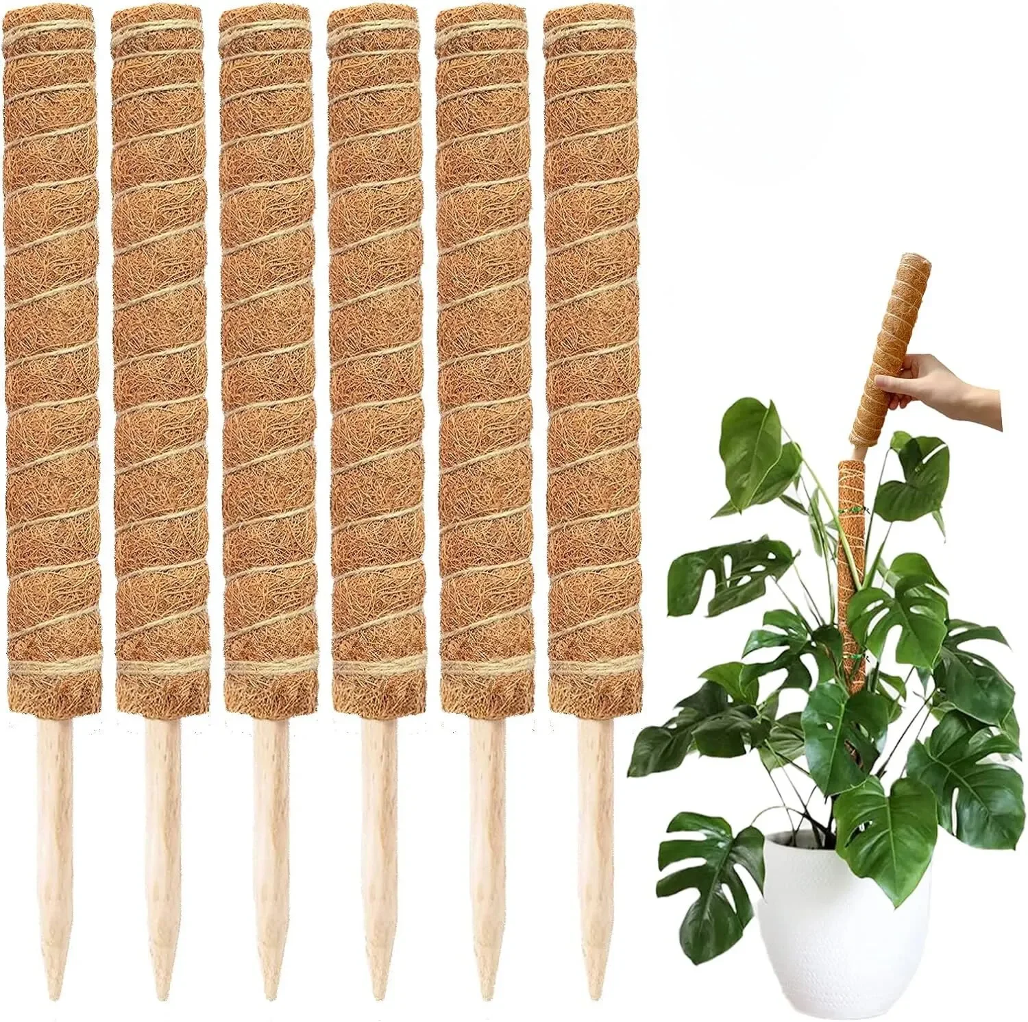 Extendable Handmade Moss Pole For Plants Plant Climbing Rod Plant Pole For Climbing Plants Real Handmade Moss Stick Plant Climbing Support Plant Support Stick