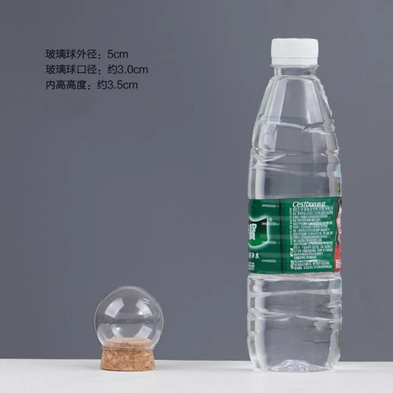 8set/pack Different Mini Size Handmade Glass Dome Vase Home Decor Cork Base Egg Shaped Transparent Cover DIY Gift Wedding Prop 3