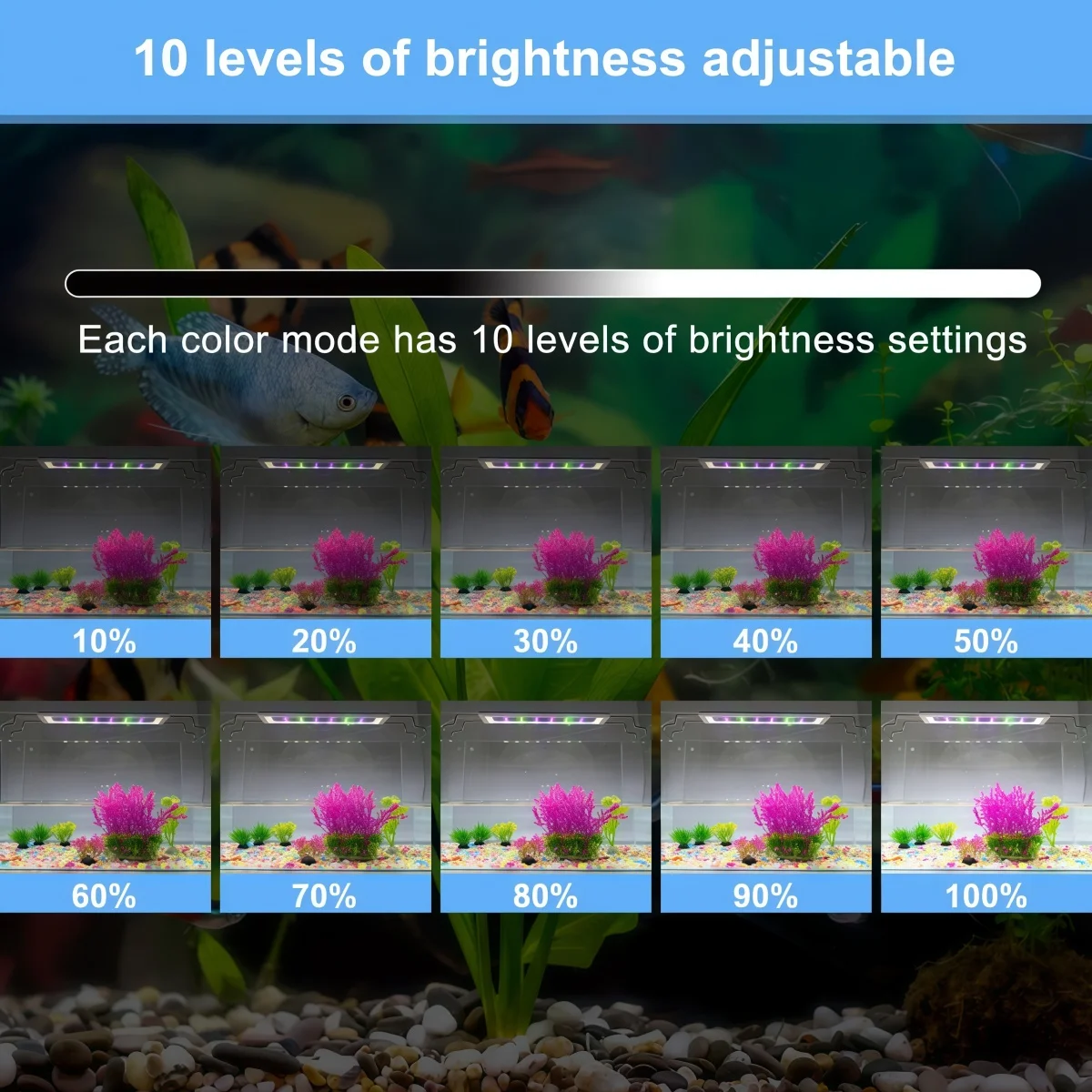 Sleek & Adjustable LED Aquarium & Reptile Light with Multi-Timer Settings
