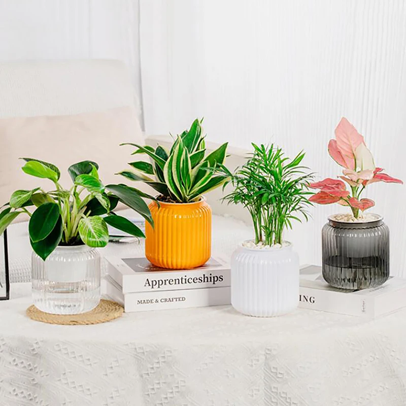 Tabletop Flower Pot Home Garden Bonsai Decor Succulent Hydroponic Plants Pot Self Watering Flowerpot Indoor Mini Planter Pots 3