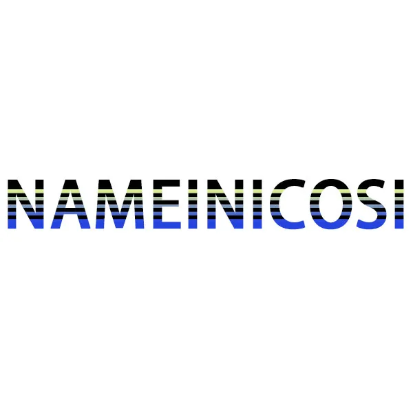 NAMEINICOSI Store