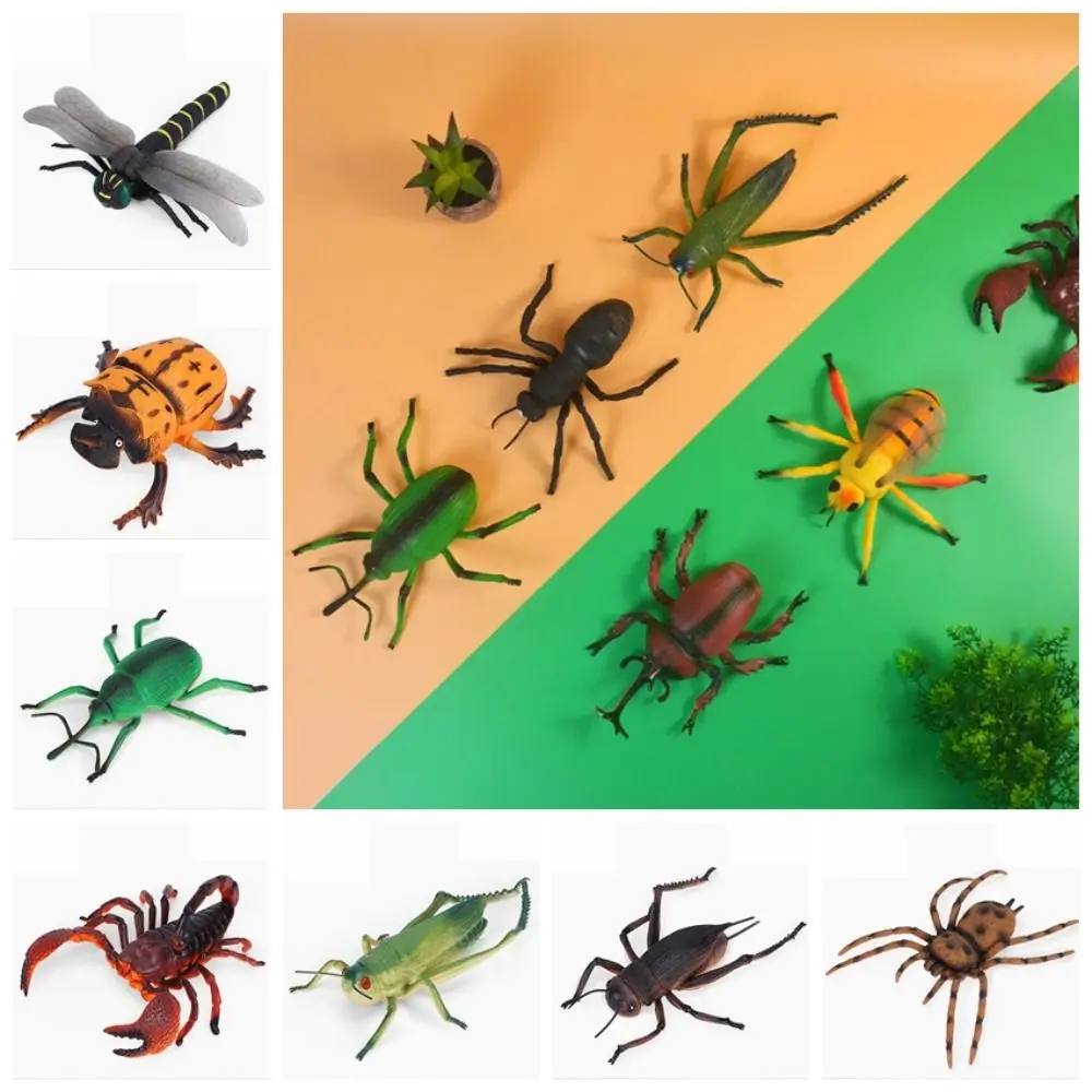 

Cricket Simulated Insect Model Science Toy Spiders Grasshopper Simulation Wildlife Model Simulation PVC Children Gifts