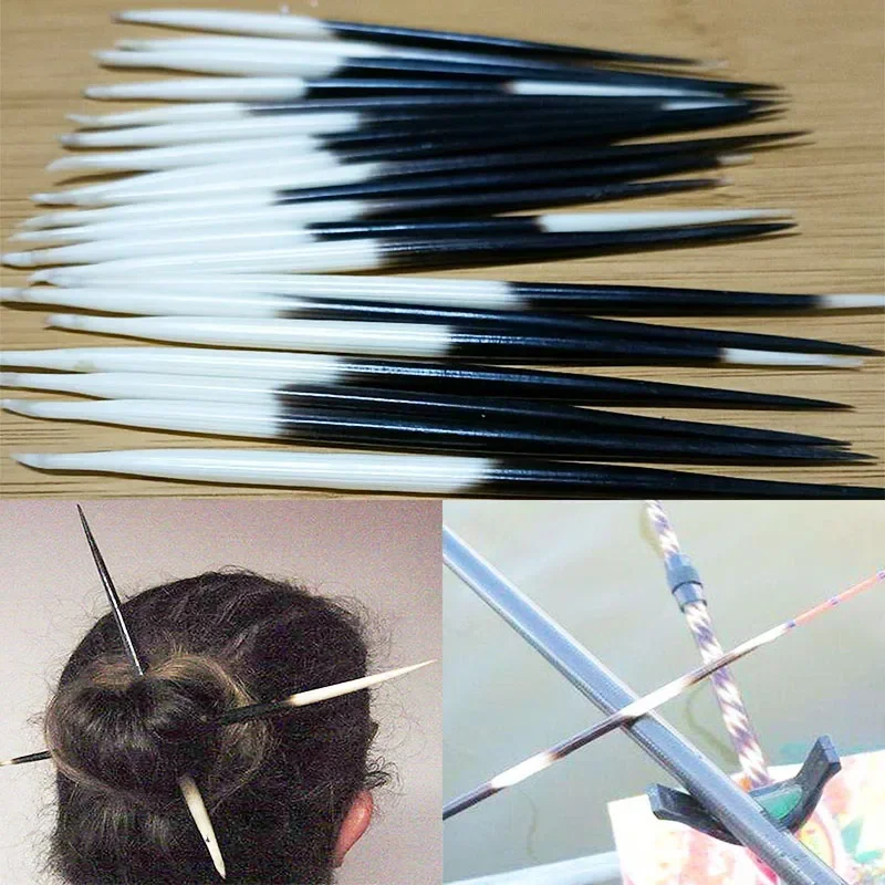 Porcupine thorn accessories for DIY