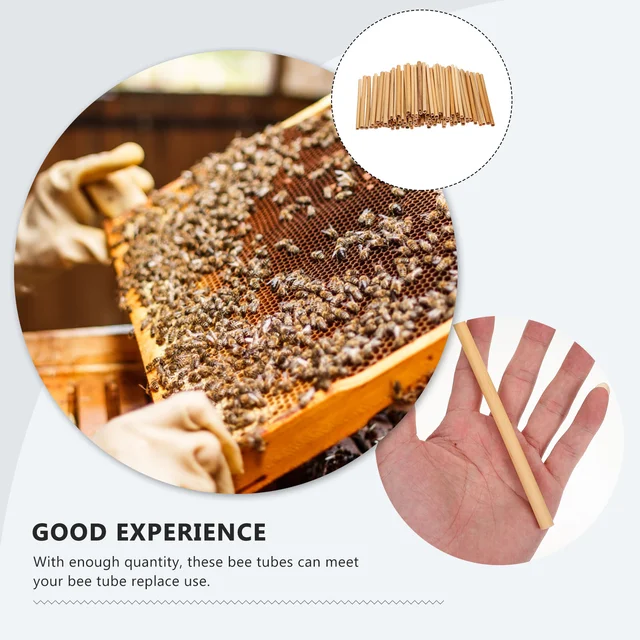 Méhsejtes Nádcső Méh Ház Készítése Anyagkészítés Kávéfőző Méhtár Méhészek Cseréje - Image 3