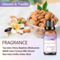 Almond Vanilla