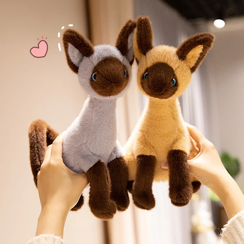Zeer mooie activiteitenknuffel siamese kat van het met Dolce knuffeldieren - Babywinkel De Babykraam Bio en Logisch