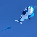 Blue-White Whale
