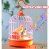 Electric Talking Bird Sound Music Maker Animal Parrot Voice Controlled Bird Cage Light Electronic Toys for Kids Gift 1
