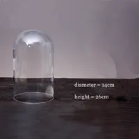 14*26cm Transparent Glass Dome Home Deocration Antique Gift Special Dustproof Cake Food Cover Clock 1