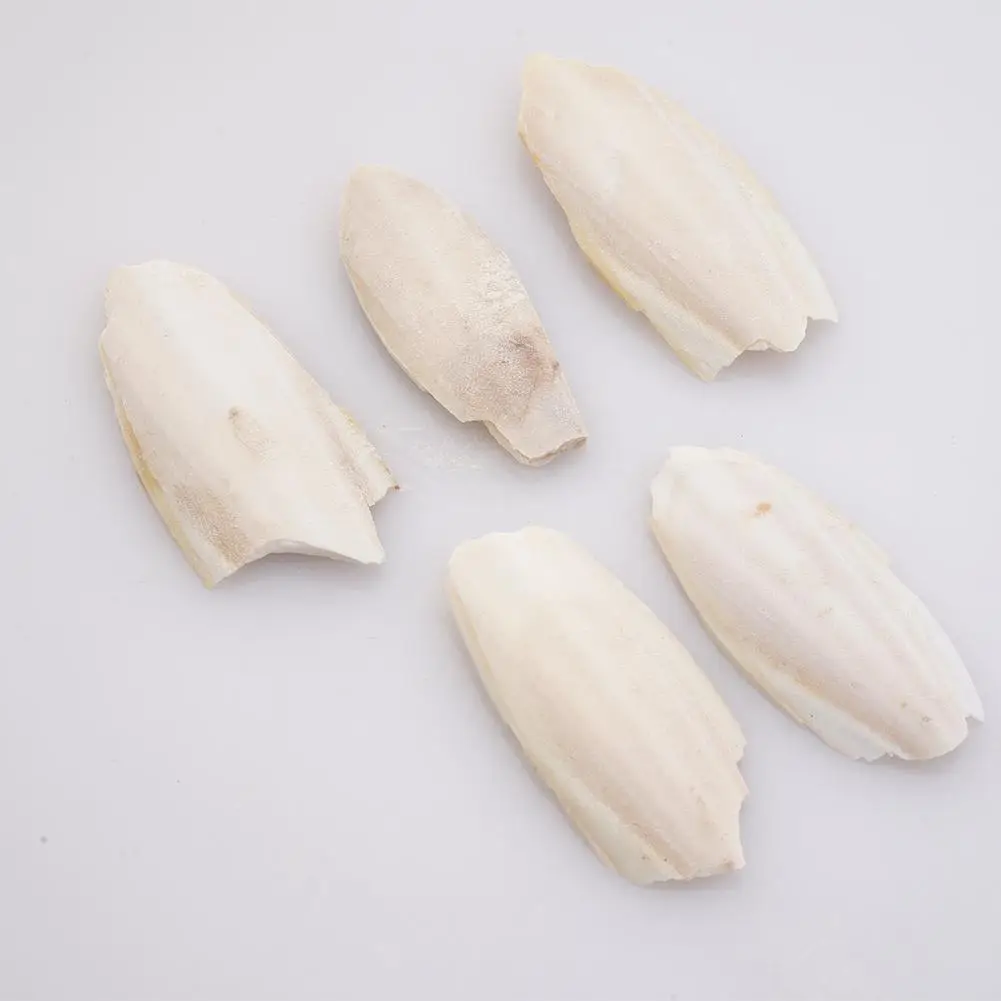 Parrot toy bird toy Cuttlefish bone For parrot Natural cuddle bone chew toys Chewing cuttlebone Easy to absorb Exercise pet's sensitivity 10Pcs