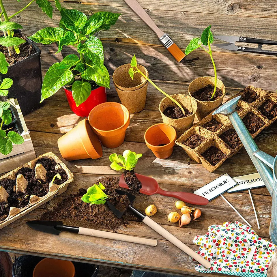 Wekuw Kit Giardinaggio 6 Pezzi - Pala, Rastrello E Accessori In Legno E Ferro, Con Tappetino, Per Piante Grasse